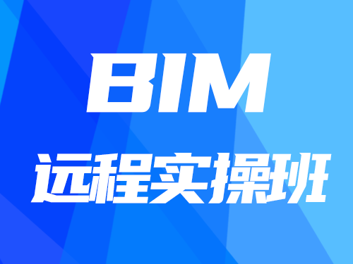 BIM远程实操班